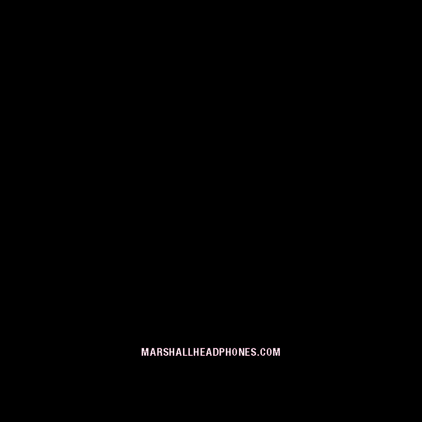 Monitor_II_ANC_UM__R1_0_EN_Page_8.jpg